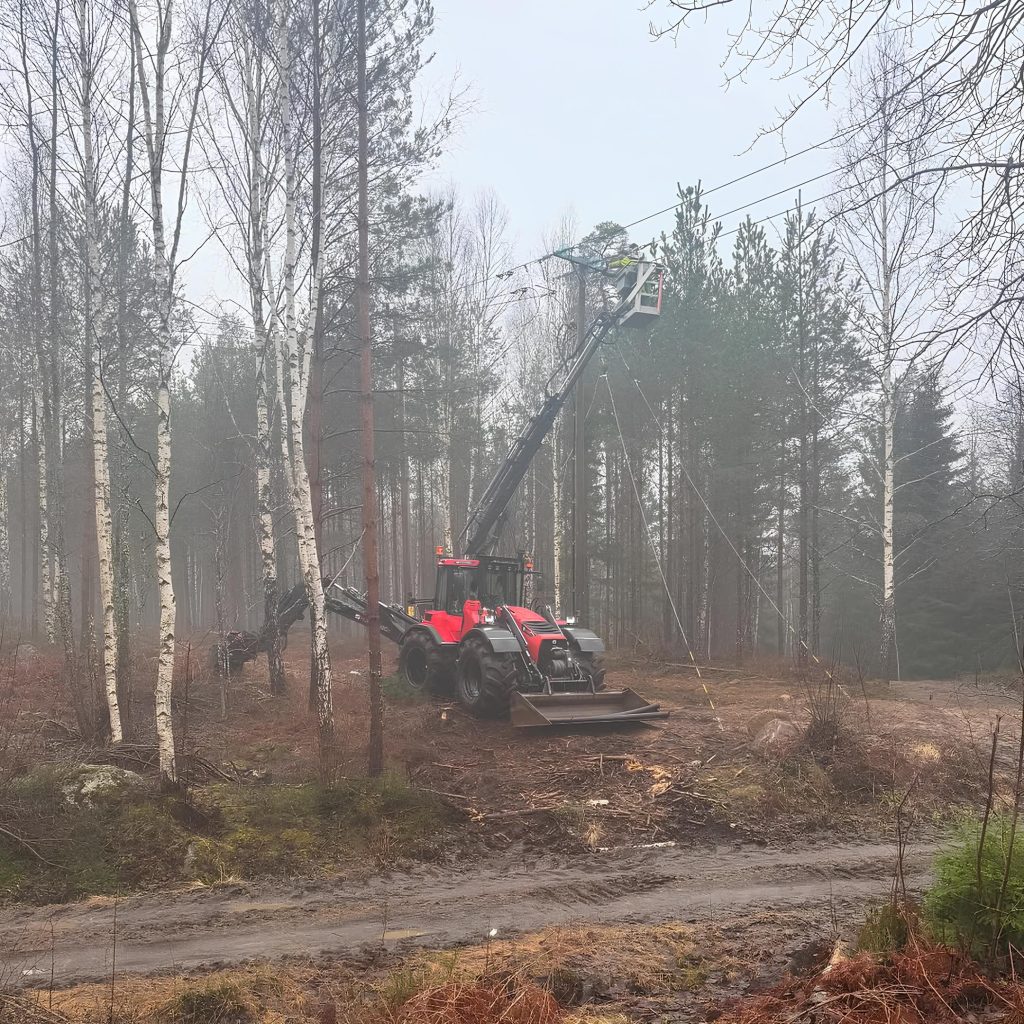 Lite avbrott i lotorps skogen idag💪🏾 #huddig1260d (1)